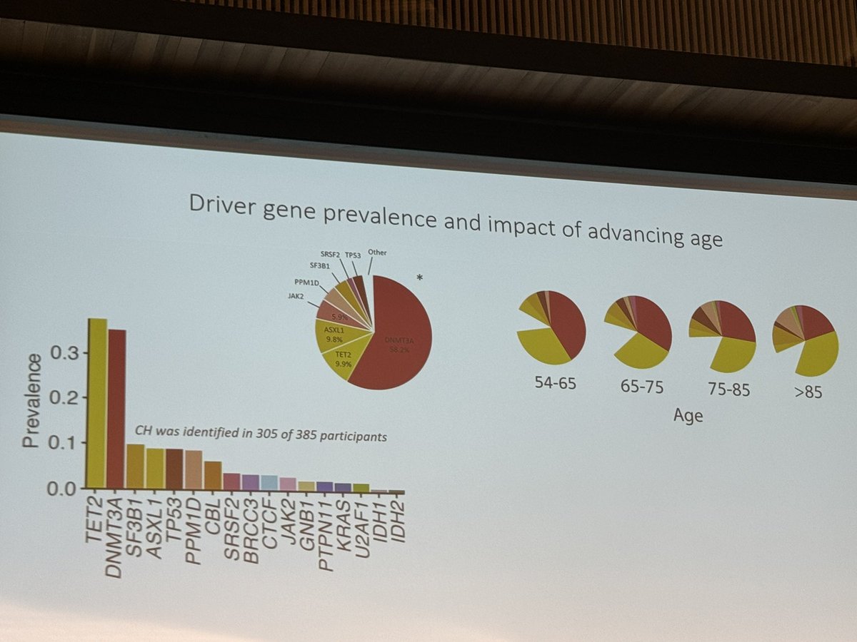 🔮nice talk by George Vassilious about clonal hematopoiesis. Few mutant genes with different fitness related to age. TP53 is frequent but had slowly growing. TET2 seems more frequent in older patients…so, what else?#CETLAM2024 @grupoCETLAM