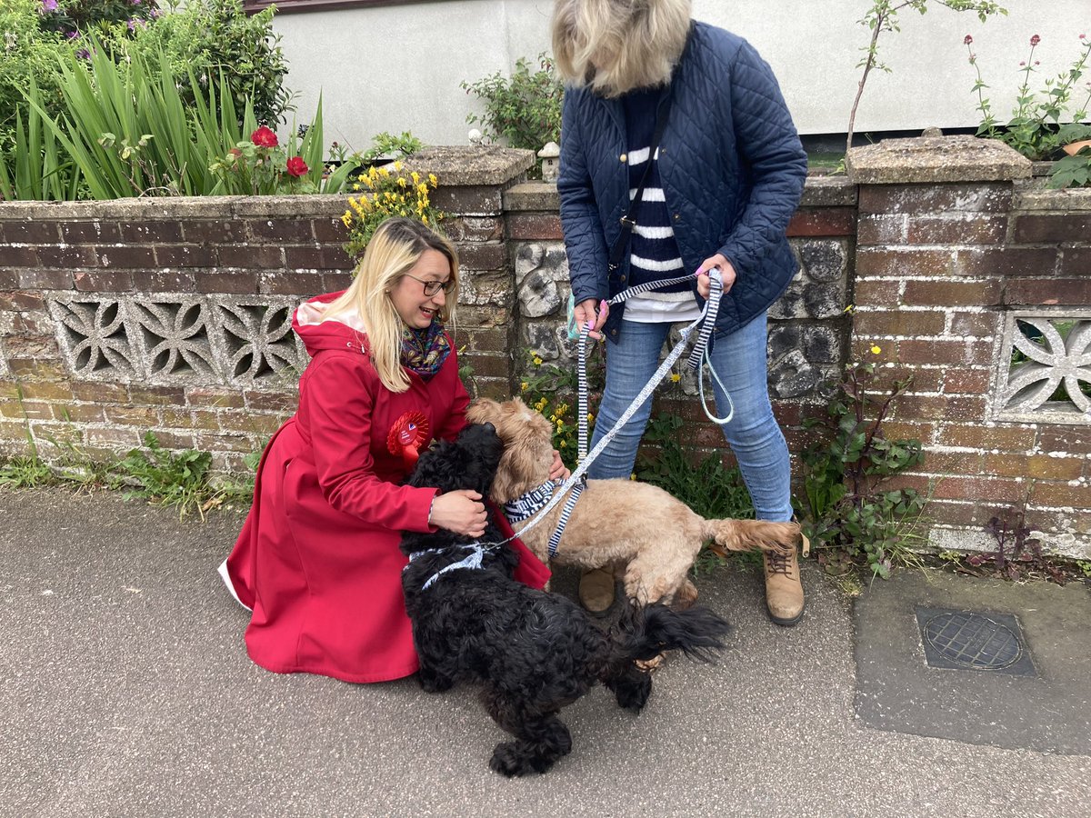 Jess4Lowestoft's tweet photo. I love chatting to residents but another bonus is #doorstepdogs #petsforLabour ๐น https://t.co/0ugiaP2upy