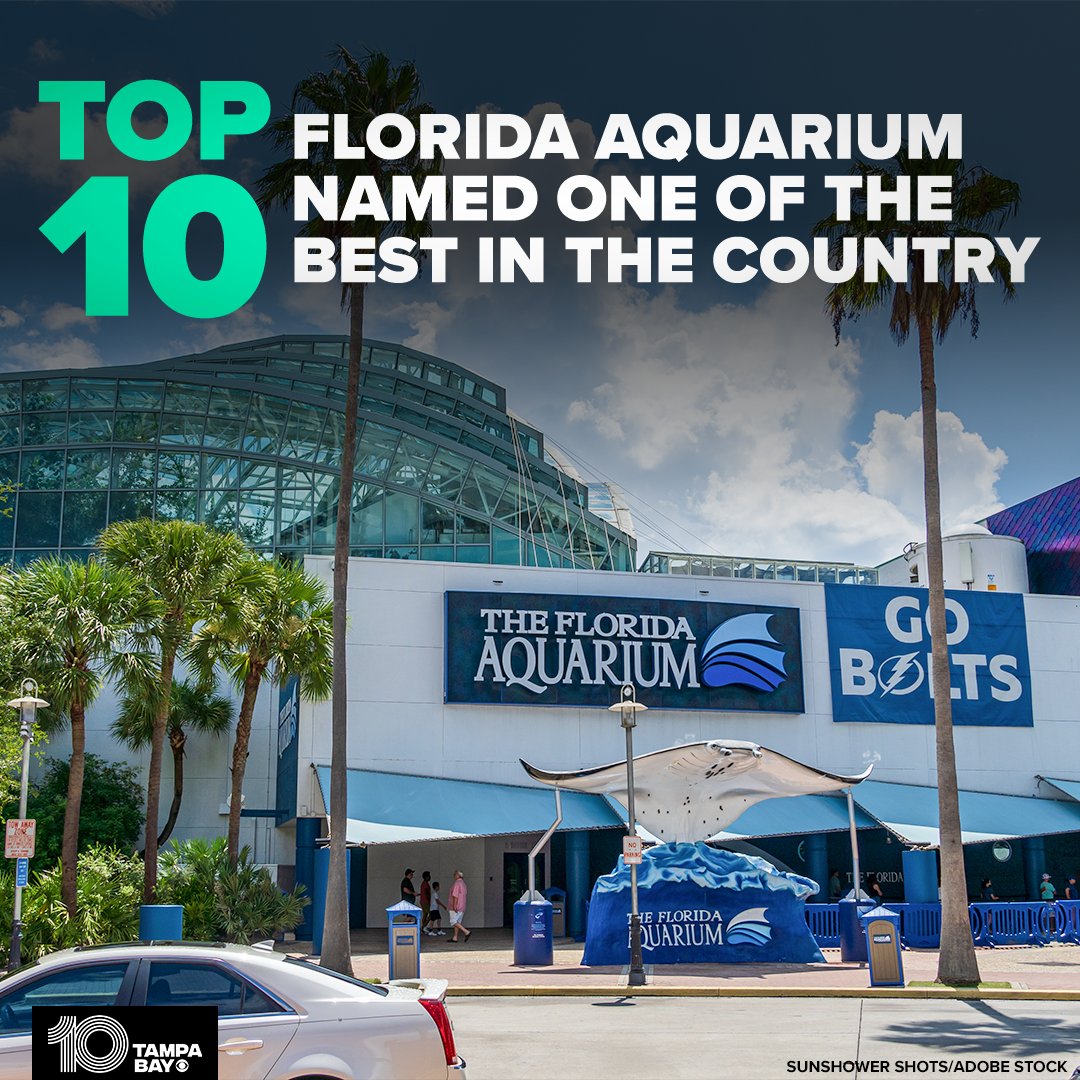 TAMPA PROUD 👏👏👏 The Florida Aquarium's lively aquatic displays, interactive exhibits and conservation efforts are once again being recognized on a national level: wtsp.com/article/entert…