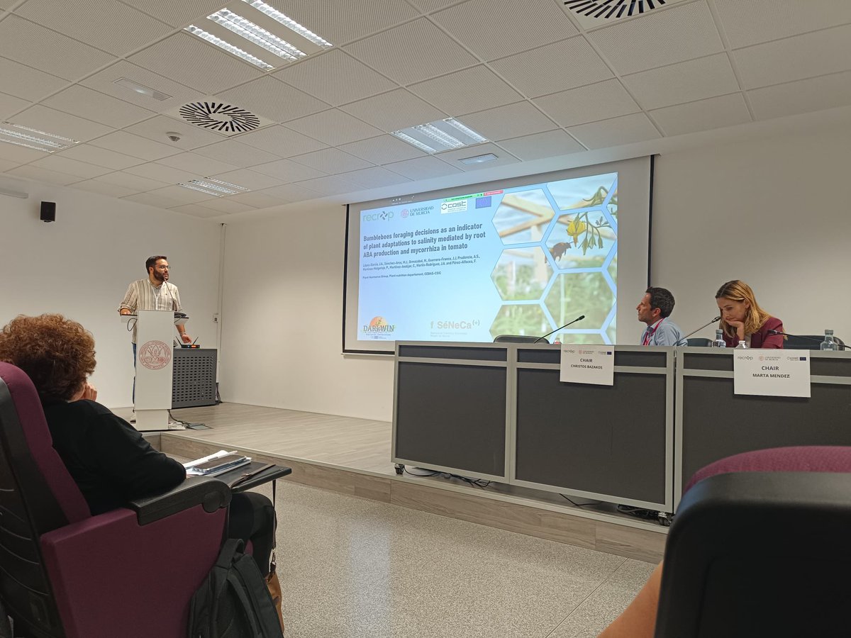 Darkwin_eu's tweet photo. RECROP DAY 2 

Today we present three fast talks 🐝🌱

Have you seen them? https://t.co/9xkyTtktT7