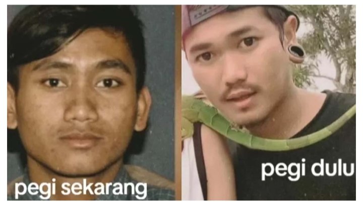 SEgo Liwet® tweet media