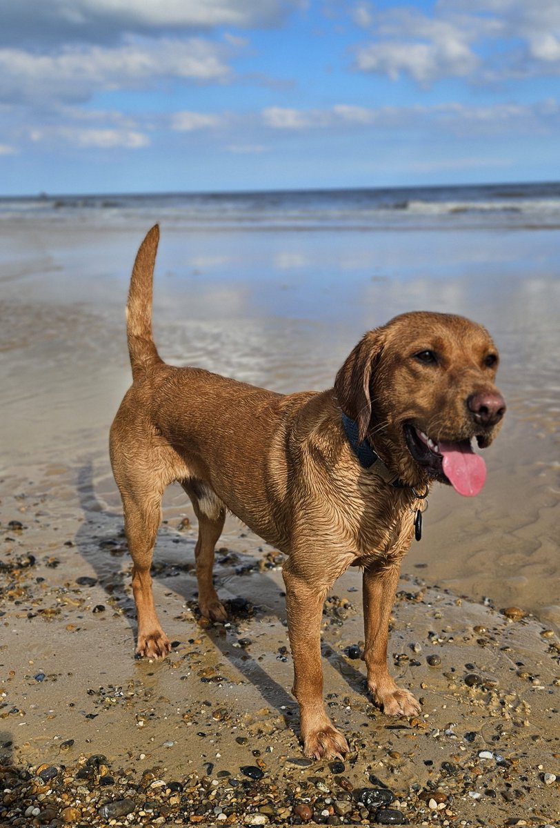 Last day away and somehow got the sun all week whilst the rest of the uk drowned in rain!