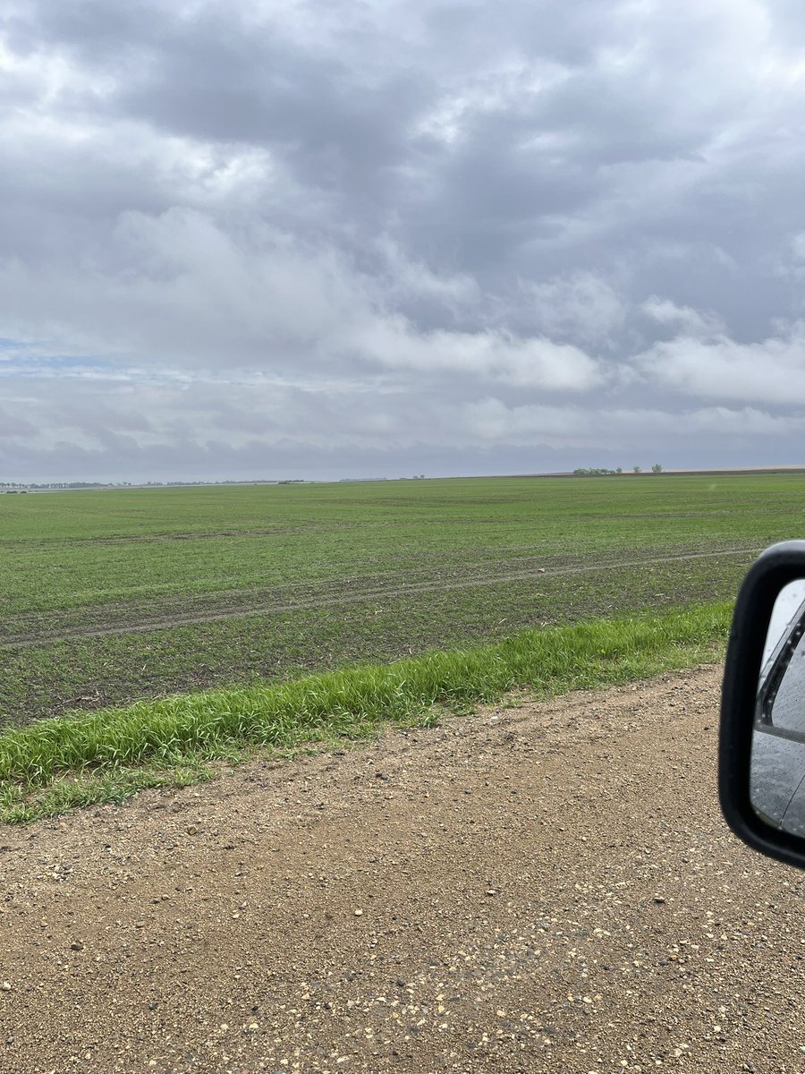 TimHoranUSRS_NP's tweet photo. With spring crops starting to emerge, make sure you are asking the right questions about your in crop applications! Be sure to consult your local retailer on the best products for your operation! #KillKochia https://t.co/f063R0Ed3T