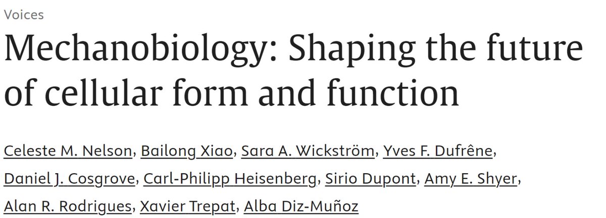 Some of us were asked by <a href="/CellCellPress/">Cell</a> about the future of mechanobiology. In all likelihood, 20 years from now we'll see we were all wrong. Any thoughts? What did we miss?🤔🔮👇authors.elsevier.com/a/1j8Ml_278y%7…