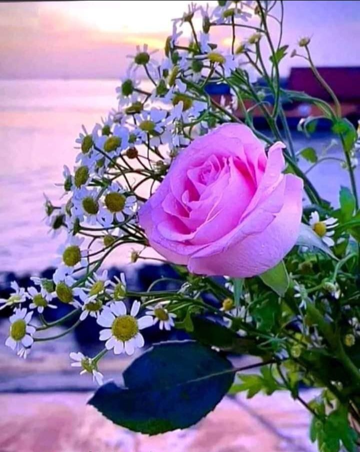 True Writes tweet media