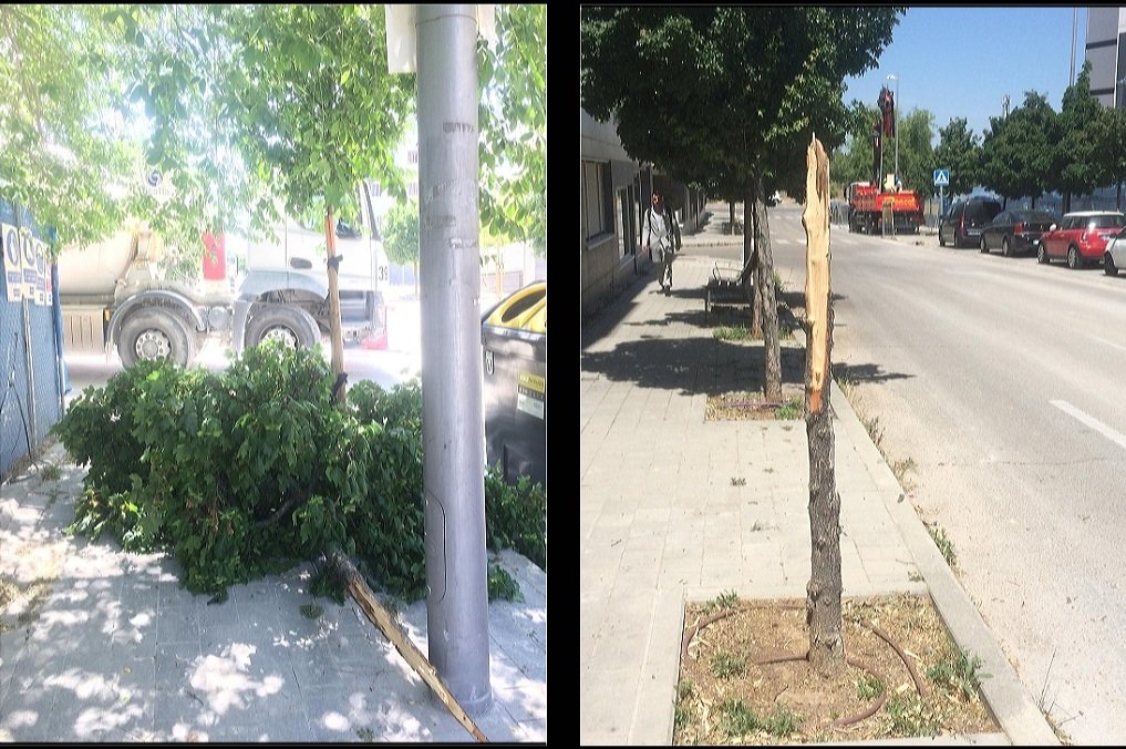 Javier Caso Iglesias tweet media