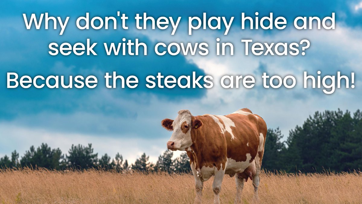 BurnsideHVAC's tweet photo. Here's a little #TexasHumor for your Thursday! 🤠 

#Burnside #BurnsideAC #AirConditioning #Heating #McKinney #CollinCounty #HVAC #IndoorAirQuality #DFW https://t.co/3cHkkfTh00