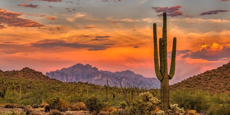 Connection, creativity and nature inspire Arizona’s upcoming desert wellness sanctuary Align #spa #wellness #bathing #activity #socialwellness #community #Tucson #Arizona t.lei.sr/T7JDf9