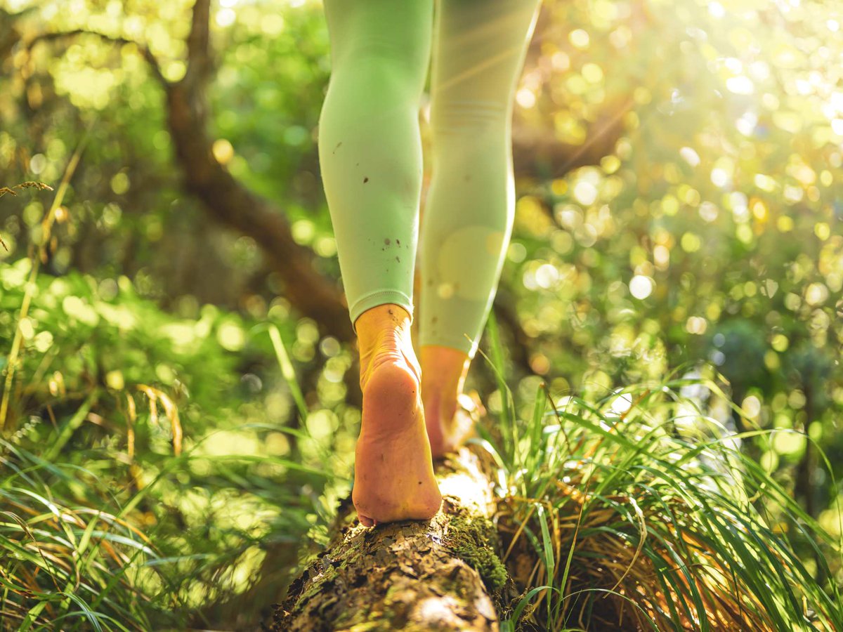 PremierPodGroup's tweet image. Don't ignore heel pain! It's not just a part of life. Let's pinpoint the cause and kick that pain to the curb together. Contact us for a personalized solution. #HeelPainRelief #StepIntoComfort
bit.ly/3fbtv1X