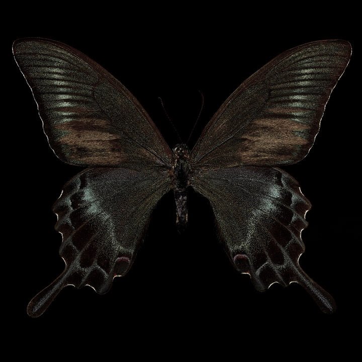 razan (@rozllvx) on Twitter photo 