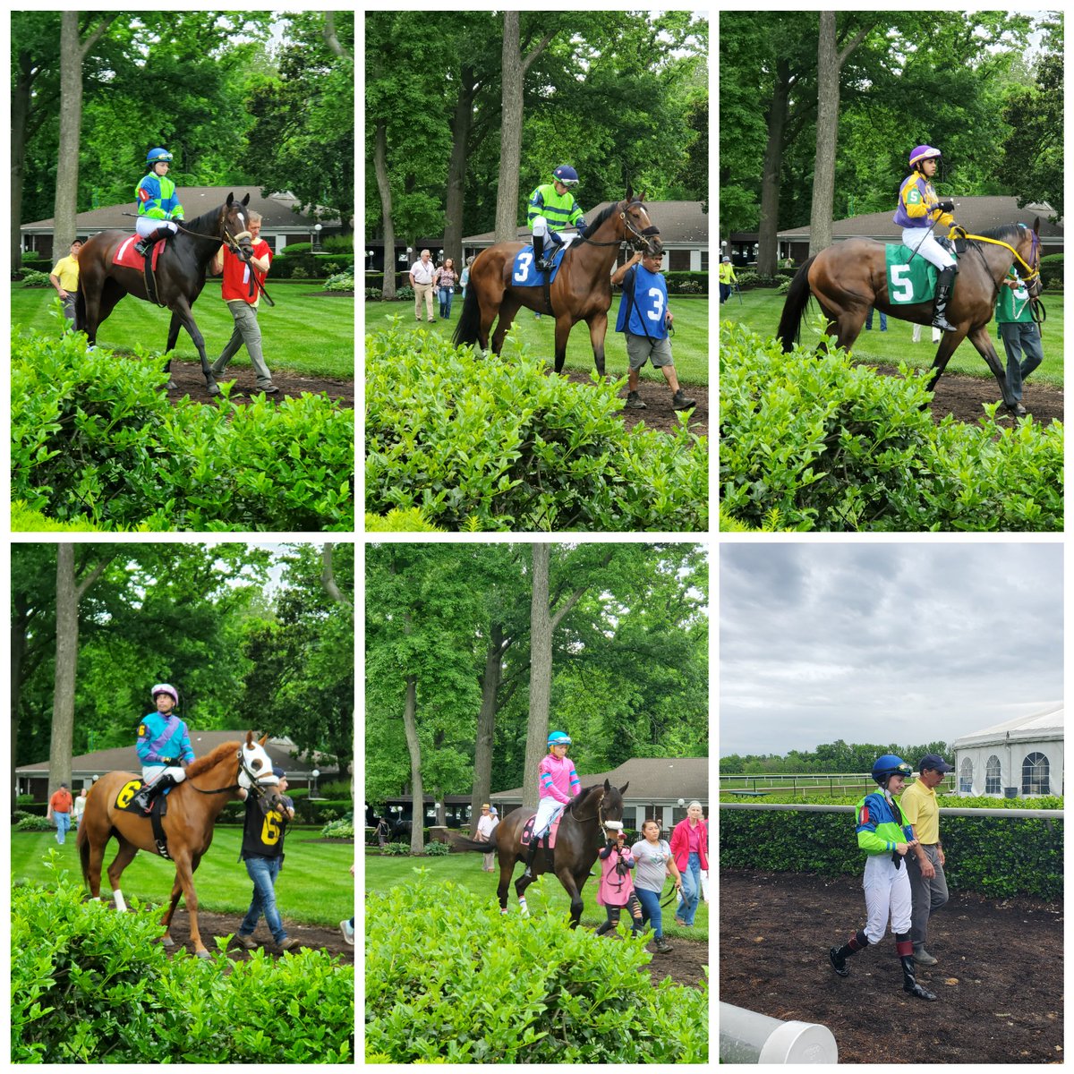 Saddles and Sulkies (@sadandsulk) on Twitter photo Jock <a href="/MartinaRojas200/">Martina Rojas</a>
Returns to the paddock after capturing the 1st <a href="/DelParkRacing/">Delaware Park</a> against some tough competition <a href="/SanchezMychel/">Mychel Sanchez</a> Robles <a href="/jockeydcenteno/">Daniel Centeno</a> <a href="/itz_lil_g/">Kevin Gomez</a> . <a href="/CoachWeilbacher/">John Weilbacher</a> <a href="/whatthebrooklyn/">Brooke Centeno</a> <a href="/MasonnumberMark/">Mark mace</a> <a href="/weilbacher_tara/">Tara Weilbacher</a> <a href="/StantonSalter/">Stanton Salter</a> Jock <a href="/MartinaRojas200/">Martina Rojas</a>
Returns to the paddock after capturing the 1st <a href="/DelParkRacing/">Delaware Park</a> against some tough competition <a href="/SanchezMychel/">Mychel Sanchez</a> Robles <a href="/jockeydcenteno/">Daniel Centeno</a> <a href="/itz_lil_g/">Kevin Gomez</a> . <a href="/CoachWeilbacher/">John Weilbacher</a> <a href="/whatthebrooklyn/">Brooke Centeno</a> <a href="/MasonnumberMark/">Mark mace</a> <a href="/weilbacher_tara/">Tara Weilbacher</a> <a href="/StantonSalter/">Stanton Salter</a>