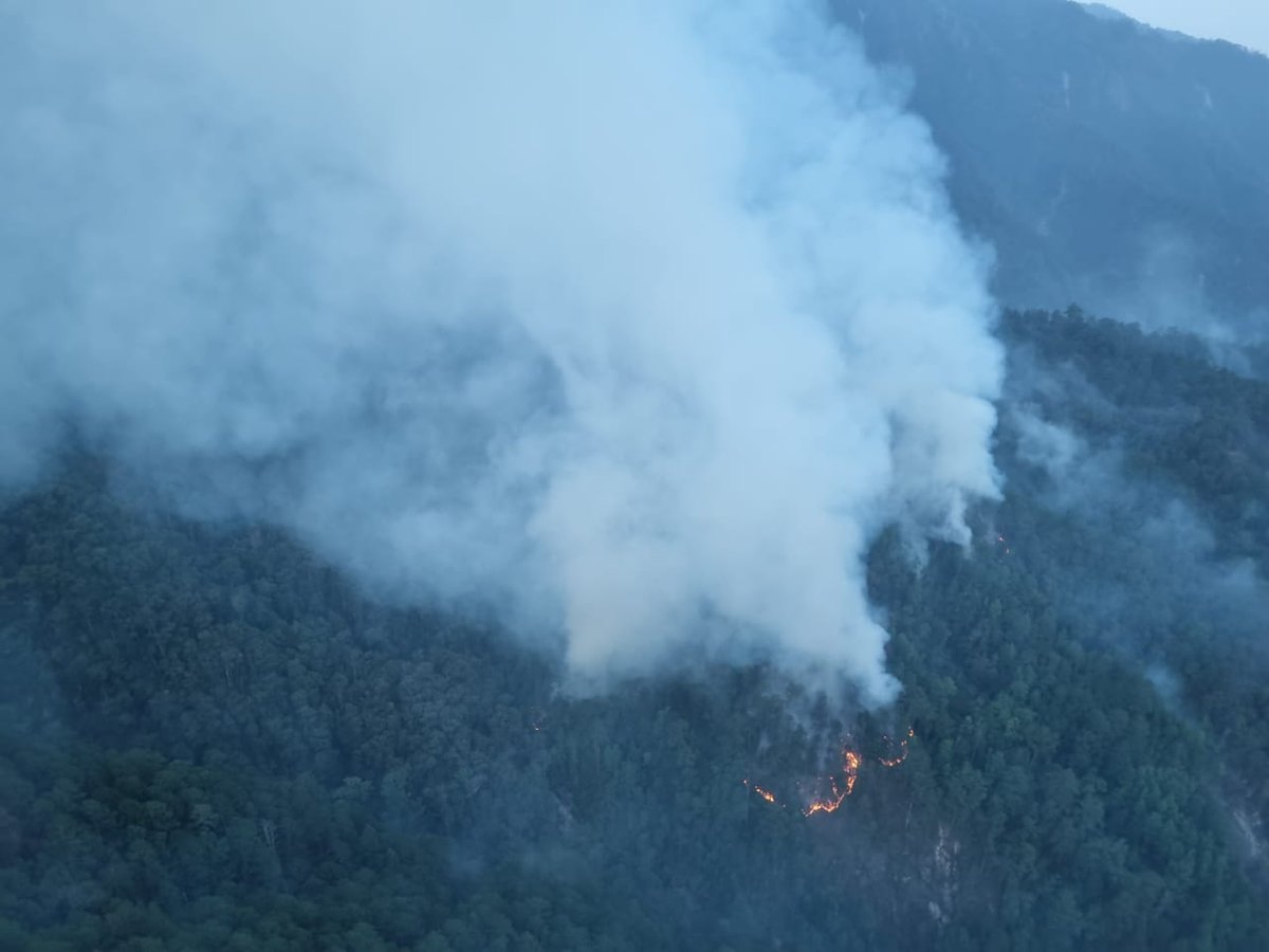 🔥🌎 ¡Fortaleciendo la lucha contra incendios forestales en #Centroamérica! Con el apoyo de @KfW_en_CA y la colaboración de comunidades locales, trabajamos para proteger nuestra biodiversidad. 🌱 Más detalles en: iucn.org/node/41510