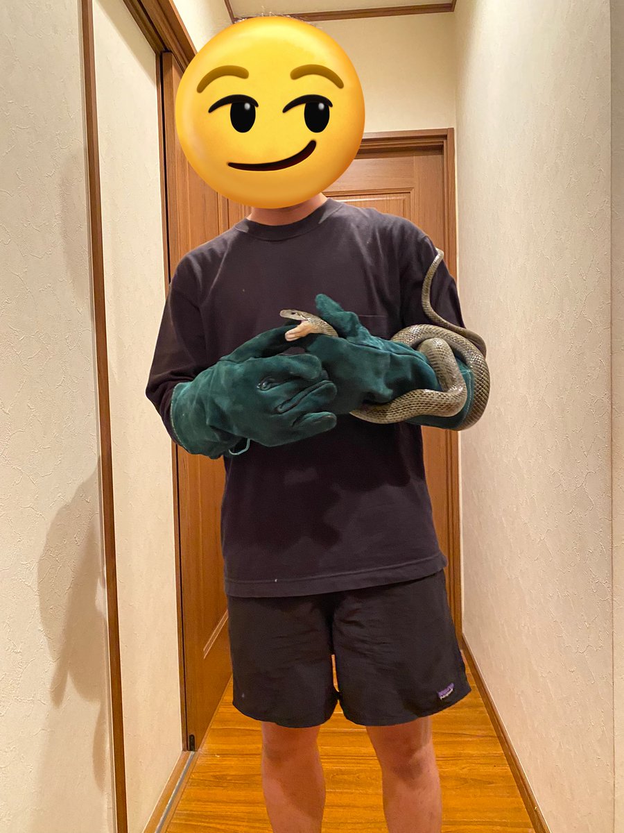 ainahi0620's tweet photo. 😊🏡🍅🍆🥬庭からの空✈️💨💨💨
🐕‍🦺若かりし日のハッピー💙黒柴君☺️
💒💍次女ちゃんの結婚式💍💒
😅🐍を嬉しそうに持つ息子２３歳👦🏻

👧🏻次女ちゃんの夫君のご両親が南アメリカから一時帰国されて✈️本日🏡我が家隣の次女家に来られます🚘

☺️楽しい🍀一日になりますように💕 https://t.co/Bnbfk0T2xu