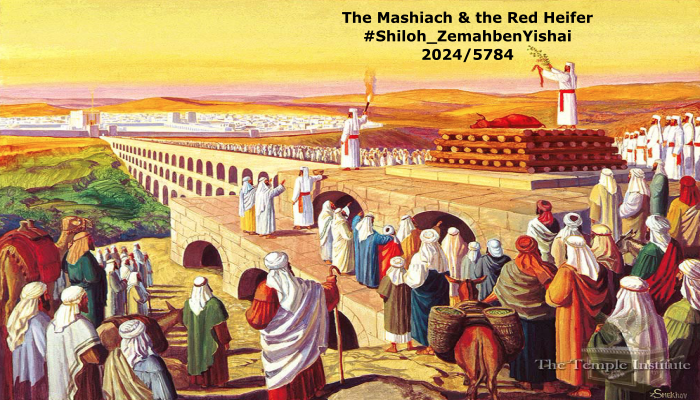 samuelsaldana's tweet photo. #messiah #mashiach #moshiach #nibiru #eliyahuhanavi #redheifer #templemount #3rdtemple #Shiloh #bendavid #benyishai #israel #endofdays #shiloh_zemahbenyishai
https://t.co/ttmNIRt1Cy https://t.co/BnYRcNaz44