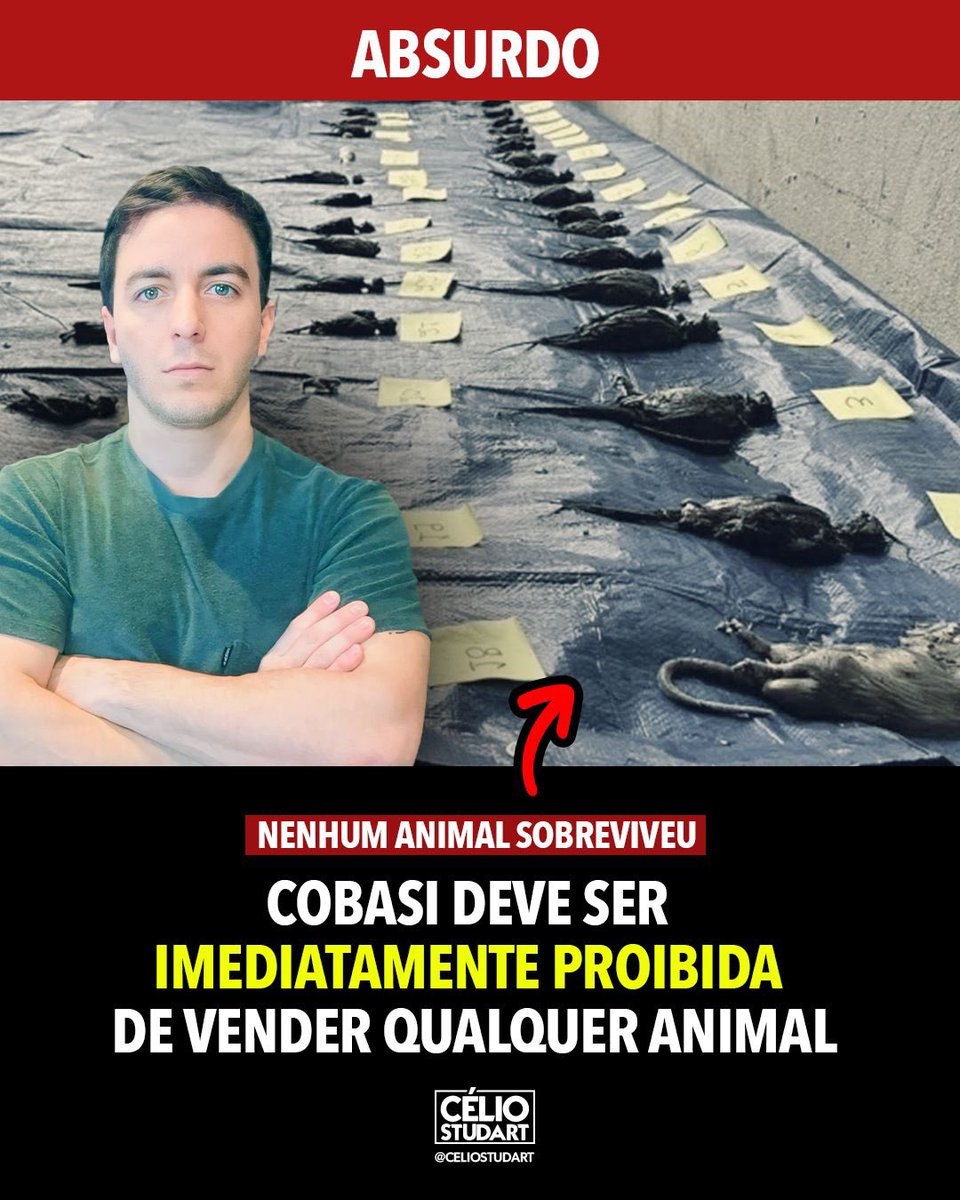 Estamos acionando a justiça pedindo isso NACIONALMENTE! Peço a pressão de todos! #animalnãoécoisa