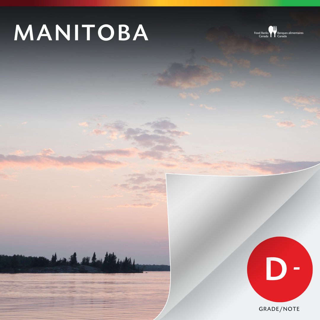 Les #FichesDeRendementSurLaPauvreté 2024 de Banques alimentaires Canada brossent un portrait sombre de la situation dans chaque province ou territoire du Canada. 🌾 Le Manitoba, l’une des provinces les mieux notées en 2023, a enregistré un déclin depuis, et reçu la note D-. (1/4)