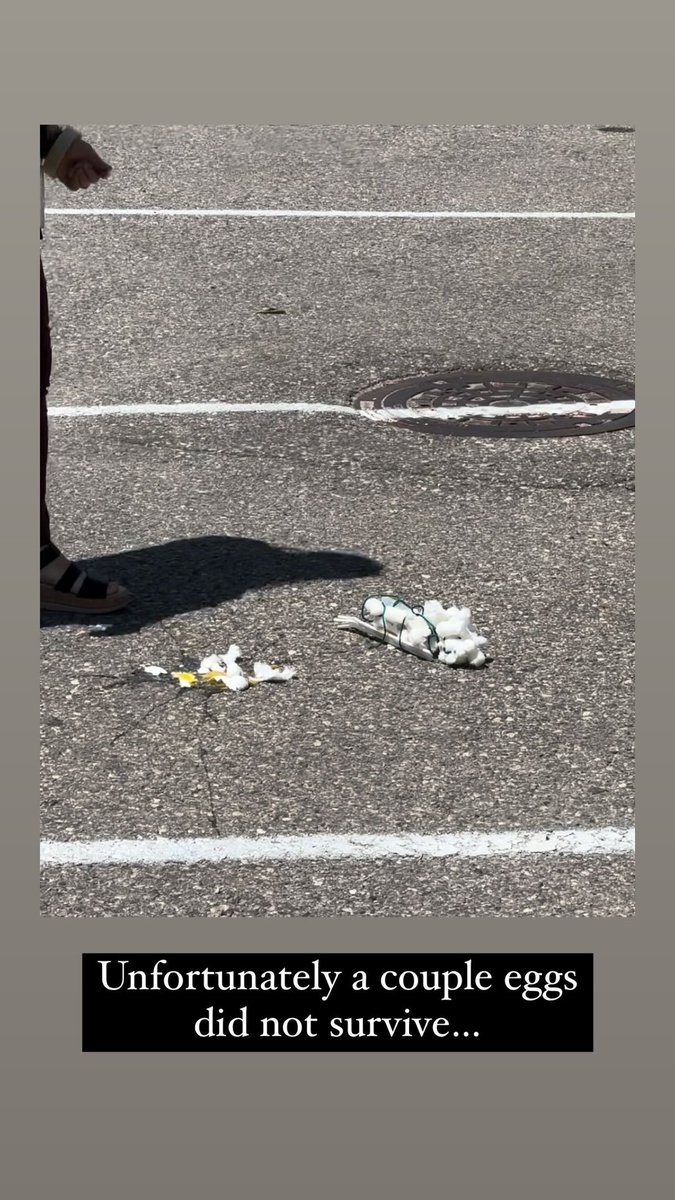 Morgan Skop tweet media