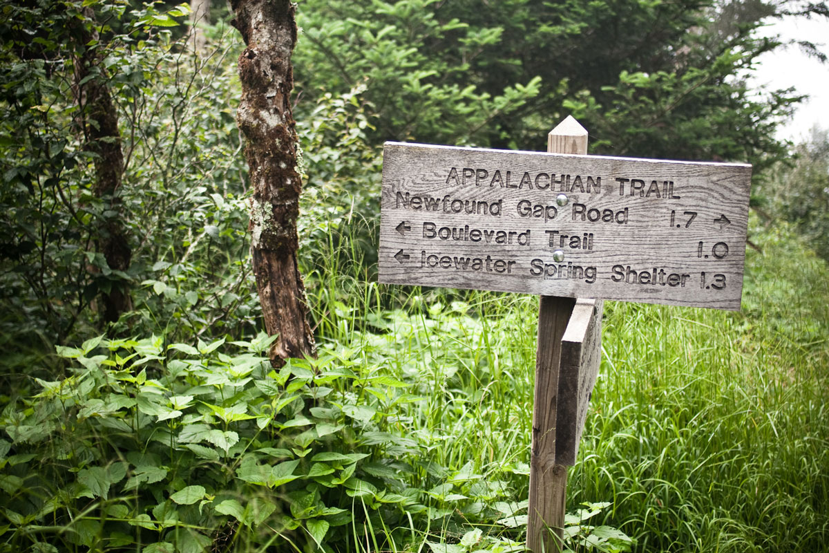 Thru-hikers of the Appalachian Trail cover almost 2,200 miles along their journey, with 71.6 of those miles falling within the boundary of <a href="/GreatSmokyNPS/">GreatSmokyNPS</a>. Learn more about the stretch of the AT that runs through the country’s most-visited national park.
smokieslife.org/2024/05/16/fro…