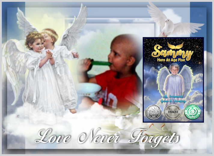 'The story is a slice of real life and it shines in its own glory of candor and courage.' amazon.com/Sammy-Hero-at-… #memoir #ChildhoodCancer