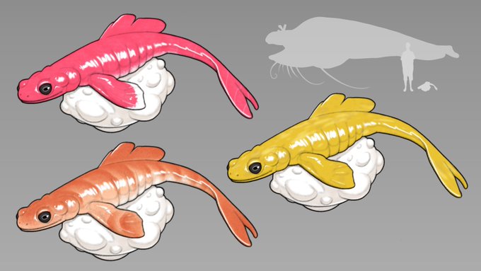 「animal focus sushi」 illustration images(Latest)