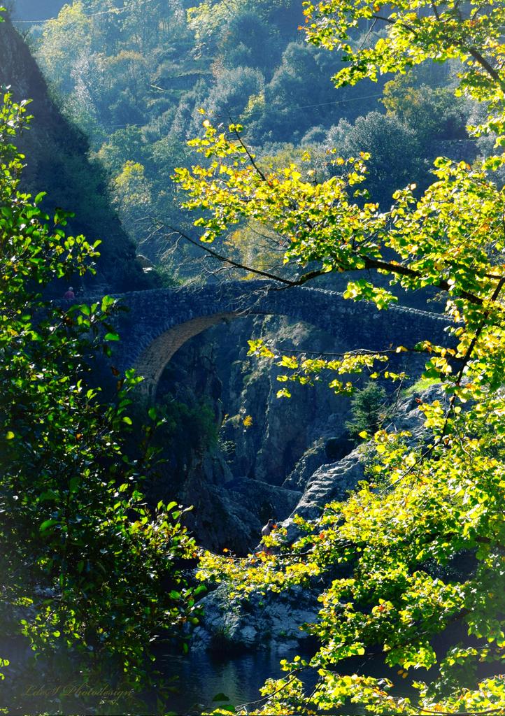 Un lien médiéval vital entre les deux rives de la rivière Ardèche... #BridgesThursday #LandscapePhotography #ThePhotoHour #StormHour #NaturePhotography @keeper_of_books #Trees #MagnifiqueFrance