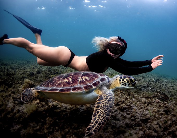 Happy WORLD TURTLE DAY 🫧 https://t.co/41dut5O715<a href="/tag/floridarenaissancefestival"class="tags"><span>#floridarenaissancefestival</span></a>