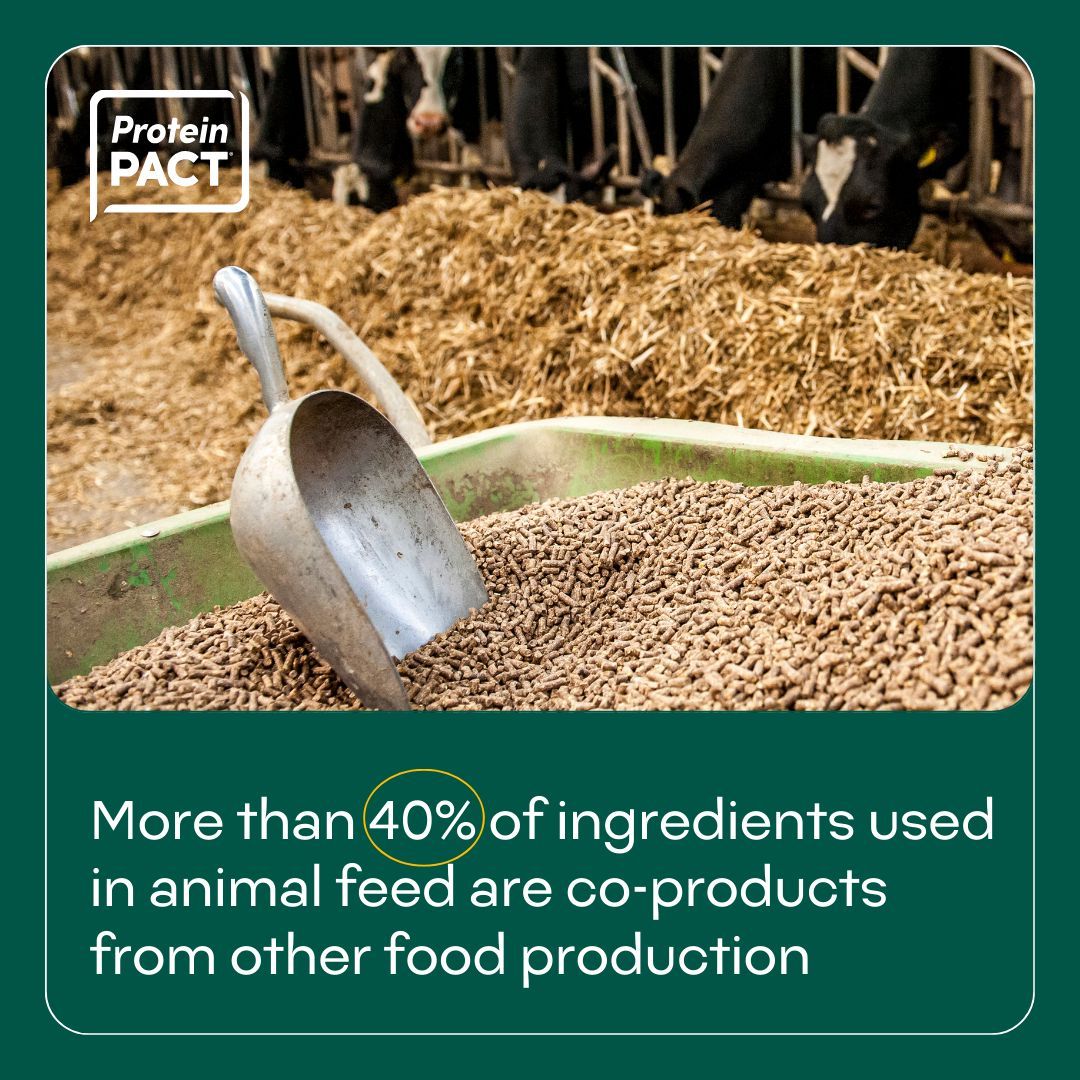 #FeedFact: More than 40% of ingredients used in animal feed are coproducts from other industries, which means roughly 113.6m tons of materials are diverted from landfills annually. buff.ly/3AqLw44