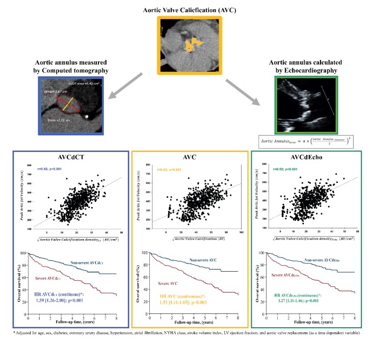 Aortic valve calcification divided by the area of the aortic annulus measured by #yesCT allows a better prediction of AS severity and outcome  <a href="/ClavelLabo/">Labo Dr Clavel</a> #AHAJournals <a href="/JiwonKimMD/">Jiwon Kim, MD</a> <a href="/kaznegishi/">Kaz Negishi@Cardiologist/ Heart Mafia</a>
ahajrnls.org/4bva1hg