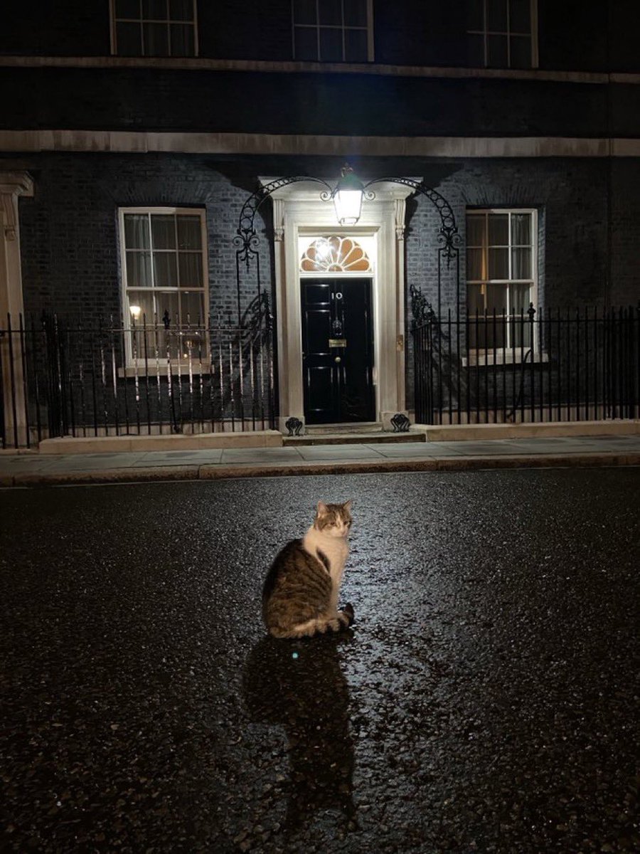 Larry the Cat tweet media