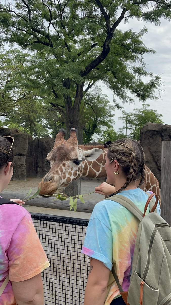 Our crew had so much fun at the Zoo today!! BIG thank you to all of our outstanding chaperones. We couldn’t have done it without you! 💙💛