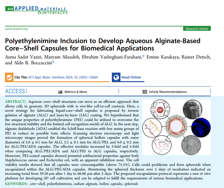 Asma-sadat Vaziri (@asmavaziri) on Twitter photo In our recent published paper we introduced a simple, yet potent approach for fabrication of multilayered hollow spheres!
Check it out if you are interested:
doi.org/10.1021/acsami…
Special thanks to <a href="/Boccaccini_Lab/">Biomaterials_Erlangen</a> and all my co-authors!
<a href="/DAAD_Germany/">DAAD News</a>
<a href="/UniFAU/">FAU Erlangen-Nbg</a> In our recent published paper we introduced a simple, yet potent approach for fabrication of multilayered hollow spheres!
Check it out if you are interested:
doi.org/10.1021/acsami…
Special thanks to <a href="/Boccaccini_Lab/">Biomaterials_Erlangen</a> and all my co-authors!
<a href="/DAAD_Germany/">DAAD News</a>
<a href="/UniFAU/">FAU Erlangen-Nbg</a>