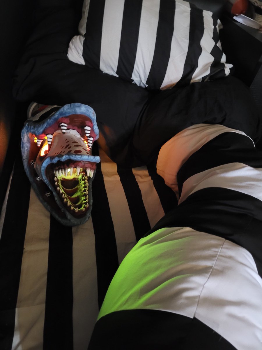 DevilFullmetal's tweet photo. Ummm... I kinda lost my bed to the Sandworm right now.

May or may not be a little excited for the new #Beetlejuice movie~ Though I don't think the theaters would be thrilled with her since no pets are allowed, and she isn't exactly small xD.

#Beetlejuice2 https://t.co/DiSCanCYxz