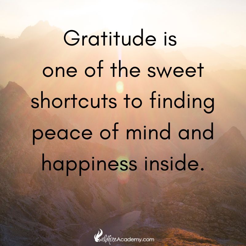 ►Gratitude is one of the sweet shortcuts to finding peace of mind and happiness inside. #EBCouncil #Quote #Share #RT