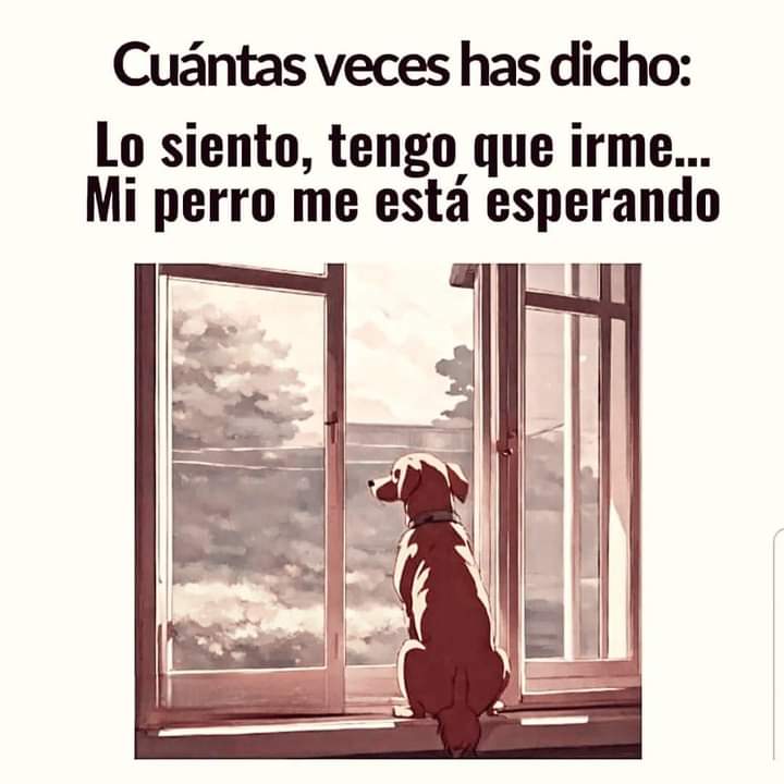 Defenzoores (@defenzoores) on Twitter photo 