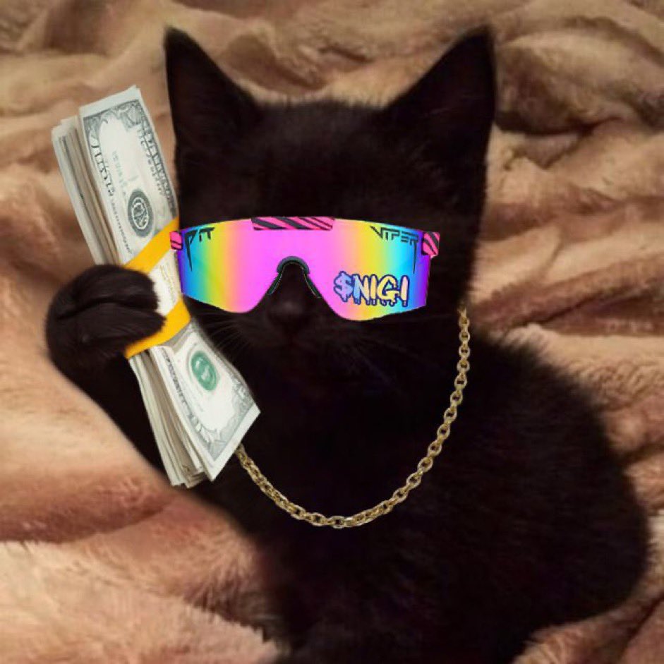 Conrmic's tweet image. The $nigi community is fkn insane just click the ticker and go to latest. Endless memes all unique and raids everywhere