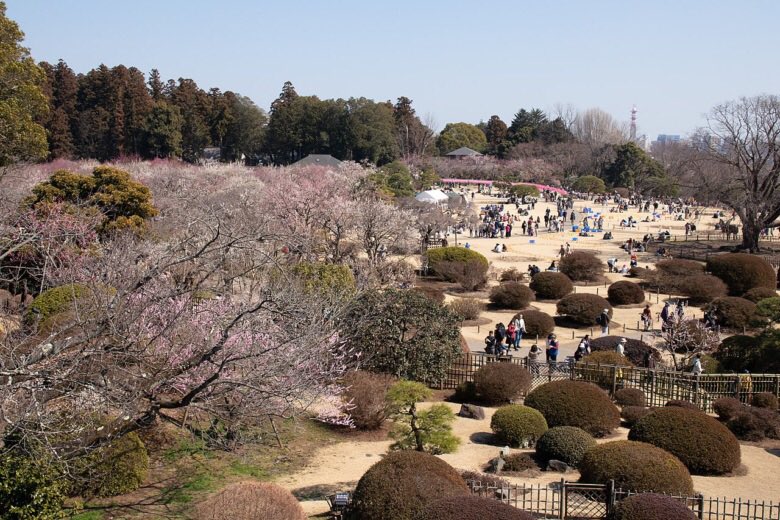 日本三大シリーズ
昨日、お城の三名城につき投稿しましたが、庭園バージョンもある様です
三名園、どの庭園だと思います？
兼六園、後楽園、偕楽園らしいです

#大人散策　#日本三大　#庭園　#兼六園　#後楽園　#偕楽園