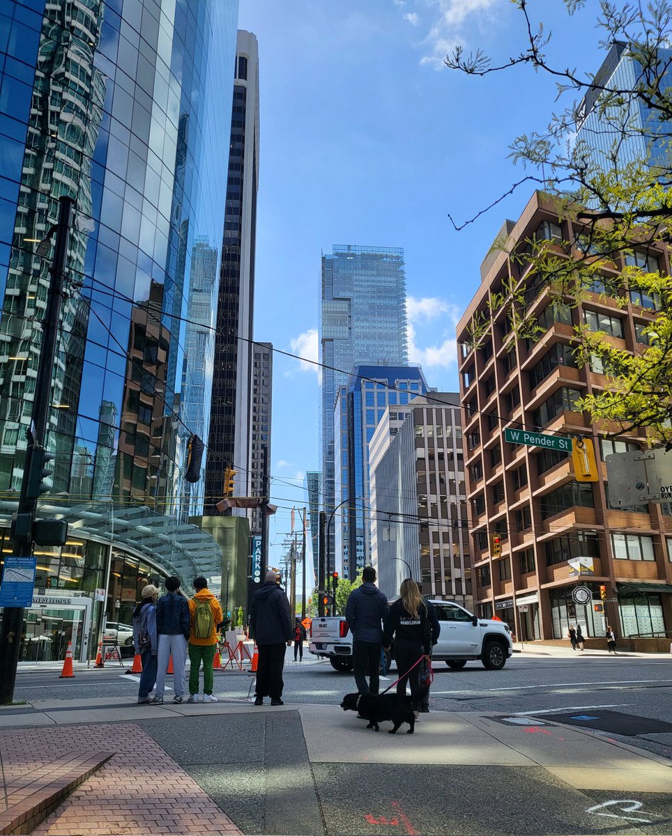 Beauty day in Vancouver for #WCNR2024! Come check out our posters p545 (thurs) p546 (fri) and p484 (sat)!