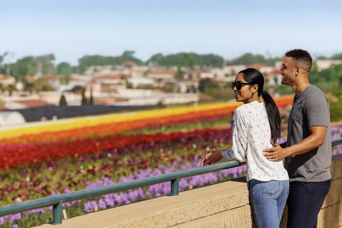 mysandiego's tweet image. Experience the breathtaking beauty of 55 acres of Giant Tecolote Buttercup flowers in full bloom, just below The Cassara Carlsbad.

Book now for your exclusive Stay &amp;amp; See package and enjoy a perfect combination of luxury and natural splendor.
thecassaracarlsbad.com/offers/