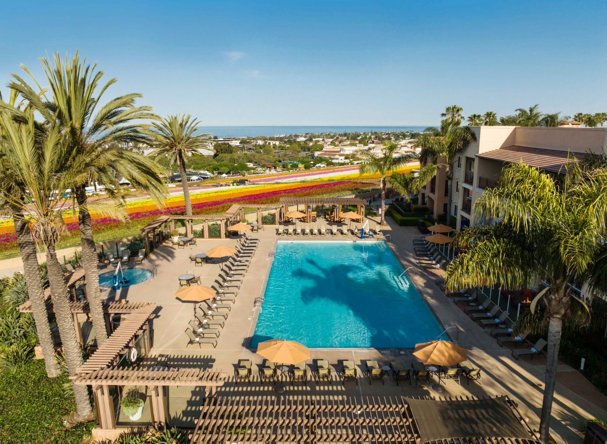 mysandiego's tweet image. Experience the breathtaking beauty of 55 acres of Giant Tecolote Buttercup flowers in full bloom, just below The Cassara Carlsbad.

Book now for your exclusive Stay &amp;amp; See package and enjoy a perfect combination of luxury and natural splendor.
thecassaracarlsbad.com/offers/
