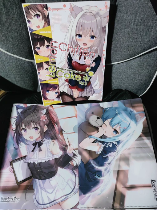 コミティア頒布の新刊とクリアファイル届いた!!クリアファイル可愛いよ 