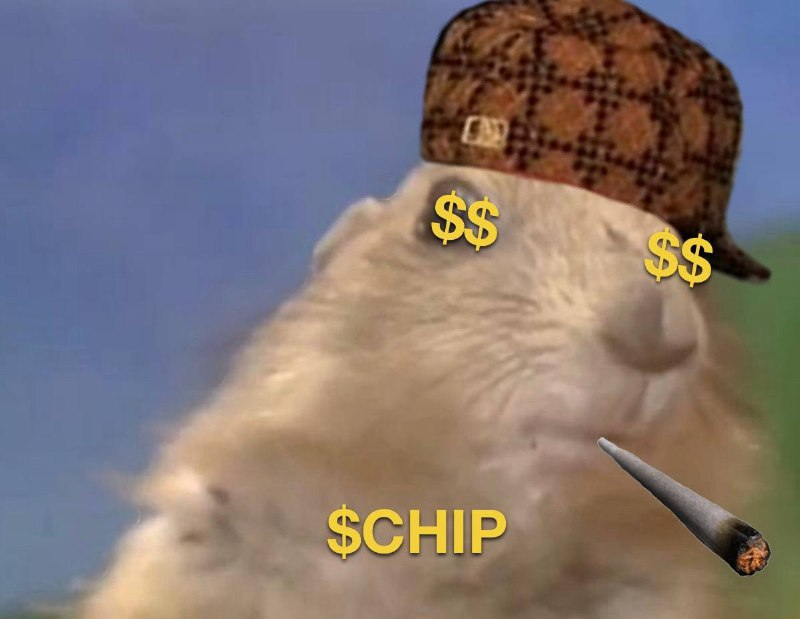 chiponsol tweet media