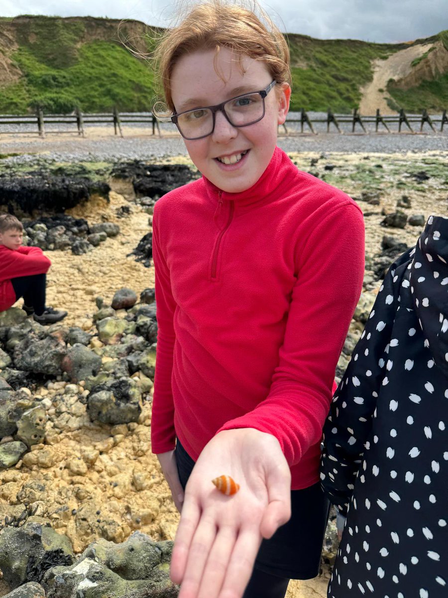 Linton Heights tweet media