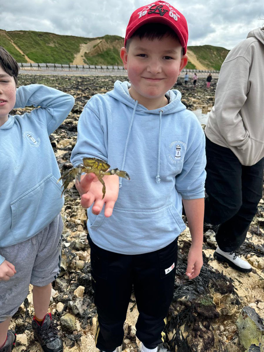 Linton Heights tweet media