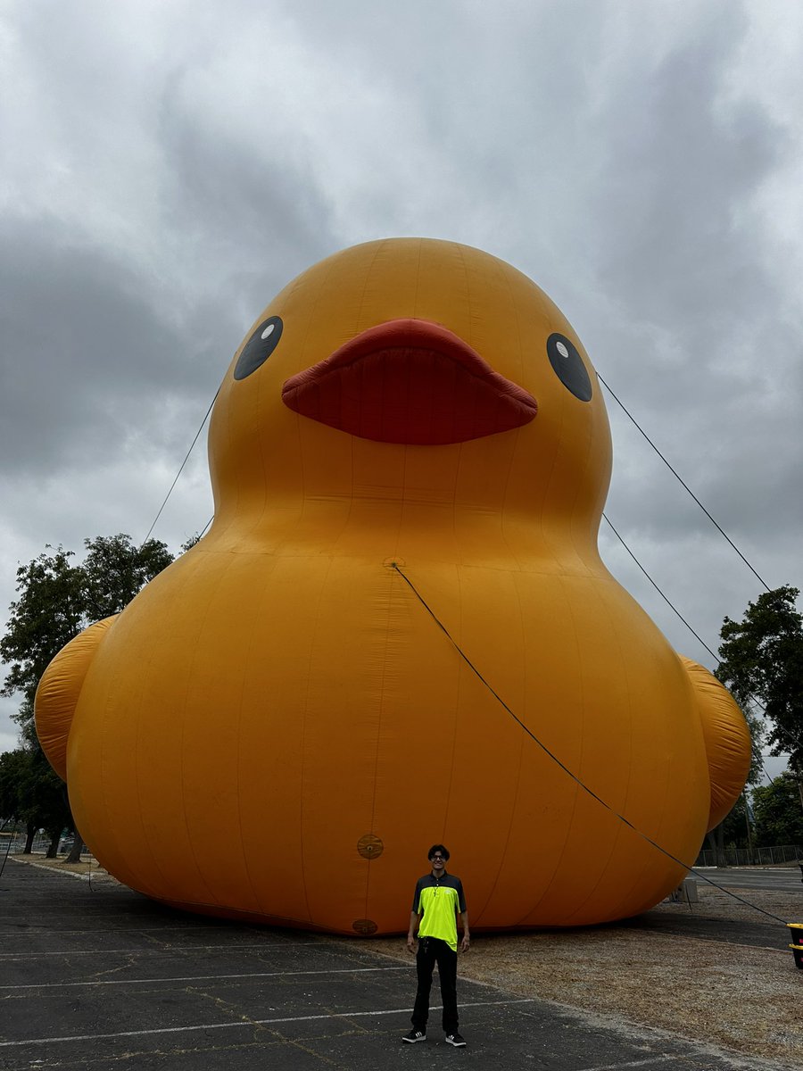 World's Largest Rubber Duck tweet media