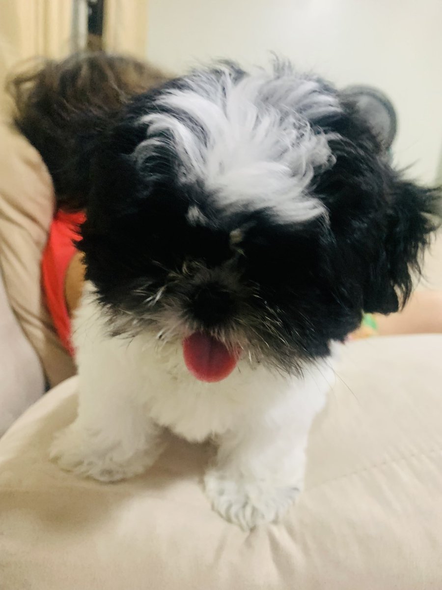 Sou apaixonada ❤️