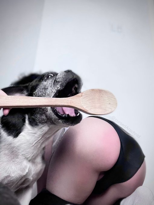 my dog photobombed me https://t.co/FufHFWttkP