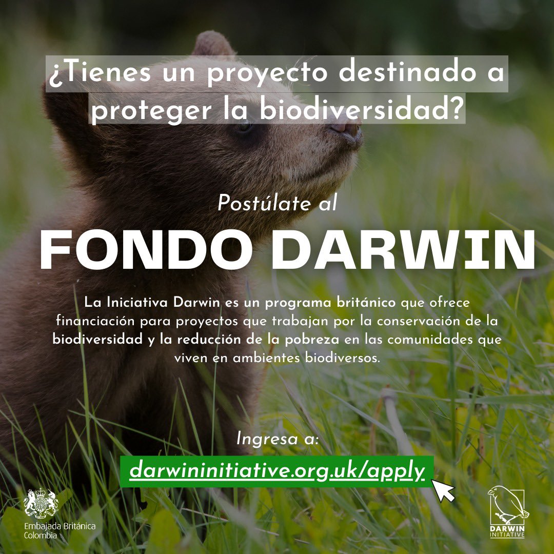 UKinColombia's tweet photo. 🌱 ¿Tu proyecto trabaja por la conservación de la biodiversidad? ¡Esta convocatoria es para ti! 📣

Únete a la Iniciativa Darwin, un programa británico🇬🇧 que ofrece financiación a proyectos de conservación y reducción de la pobreza.

Postúlate aquí 👉🏽 https://t.co/p1HbfxgeG4 https://t.co/6cMIeGt42W