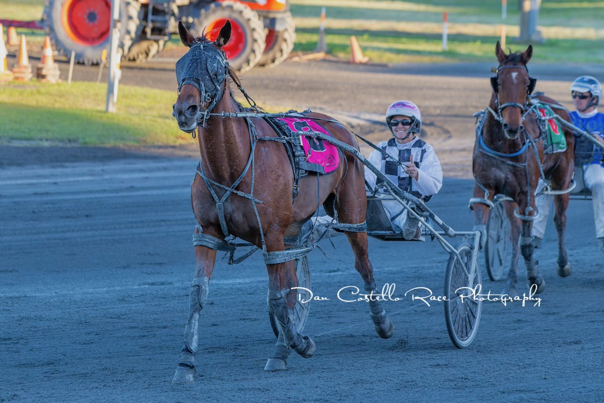 Dan Costello (@danracingwrap) on Twitter photo <a href="/PaigeBevan0299/">Paige Bevan</a> successful with Peppa Bliss in race 5 <a href="/redcliffe_hrc/">Redcliffe Harness Racing Club</a> for trainer Grant Dixon <a href="/PaigeBevan0299/">Paige Bevan</a> successful with Peppa Bliss in race 5 <a href="/redcliffe_hrc/">Redcliffe Harness Racing Club</a> for trainer Grant Dixon