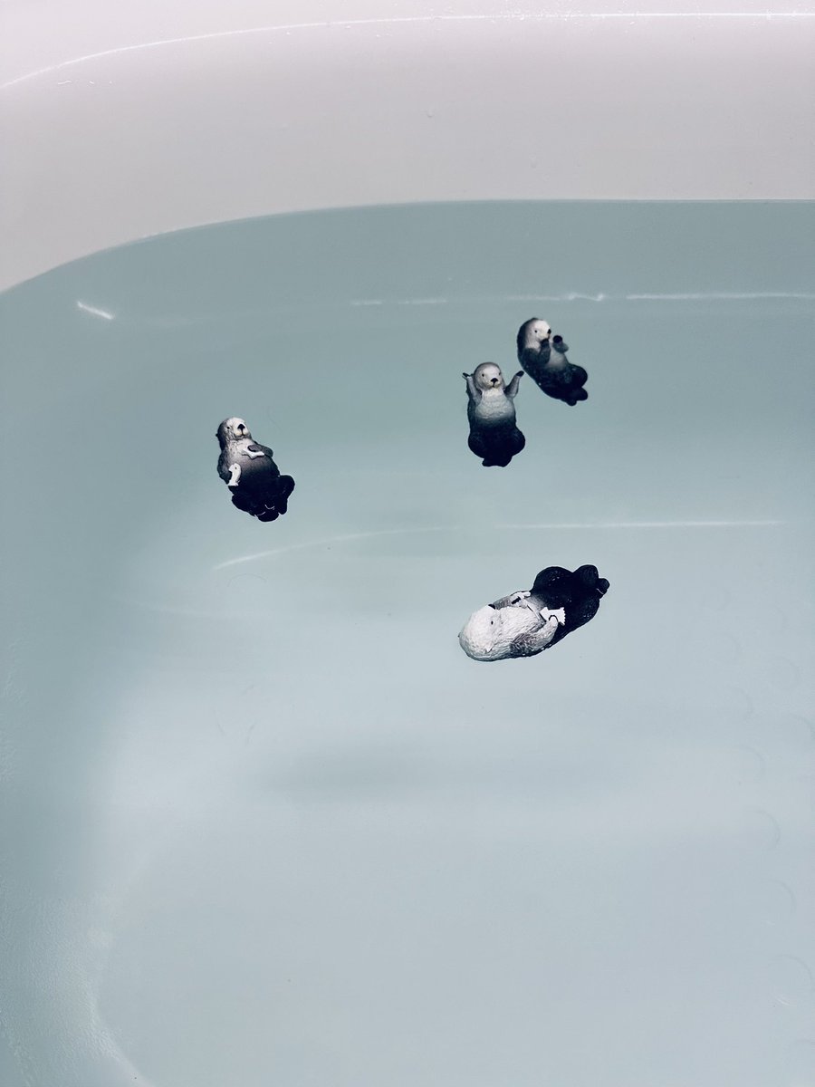 sara_sararakko's tweet photo. このガチャガチャをやると、
お風呂が楽しくなります🛁🦦🎶
かわちぃ🥹💕 https://t.co/EYiJTy6pKp