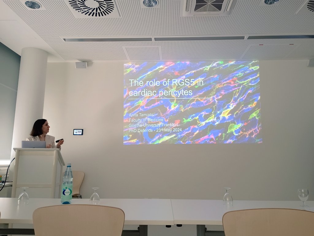 Guillermo Luxán (@gluxan) on Twitter photo Dr. <a href="/AnitaTamiato/">Anita Tamiato</a> defended her thesis today in the <a href="/InstCardReg_FFM/">Institute of CVR</a> <a href="/CPI_ExStra/">CPI</a> at <a href="/goetheuni/">Goethe-Universität</a>. Dear Anita, it has been a pleasure to share the ride with you. Congratulations! Enjoy the celebrations :) Dr. <a href="/AnitaTamiato/">Anita Tamiato</a> defended her thesis today in the <a href="/InstCardReg_FFM/">Institute of CVR</a> <a href="/CPI_ExStra/">CPI</a> at <a href="/goetheuni/">Goethe-Universität</a>. Dear Anita, it has been a pleasure to share the ride with you. Congratulations! Enjoy the celebrations :)